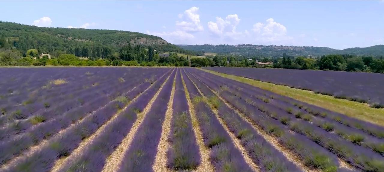 Le Nesk Ventoux - Hotel